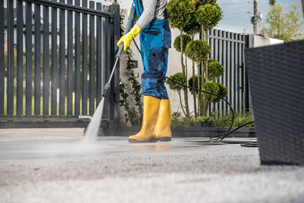 Best Graffiti Removal  in Le Roy, IL